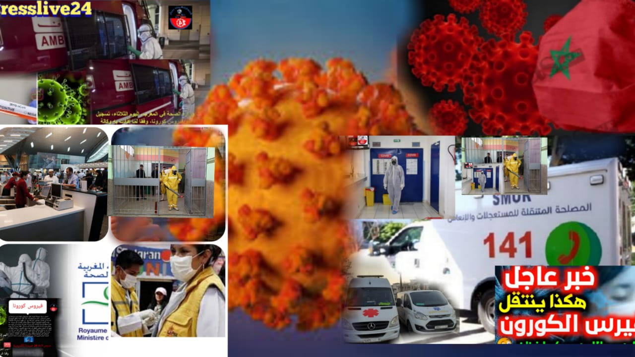 ece416a6 c451 4a36 bf47 365177fd6fcd - جريدة بريس لايف 24