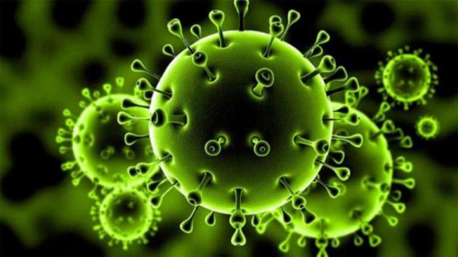 وزارة الصحة الإسبانية: ارتفاع عدد الوفيات جراء فيروس كورونا إلى 558 والإصابات إلى 13716