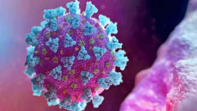 مستجدات فيروس “كورونا بالمغرب
