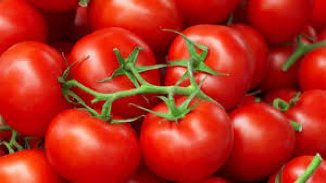 من أهم فوائد الطماطم لصحتك…ثمرة غنية بالفيتامينات.