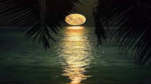 العبارات الرائعة