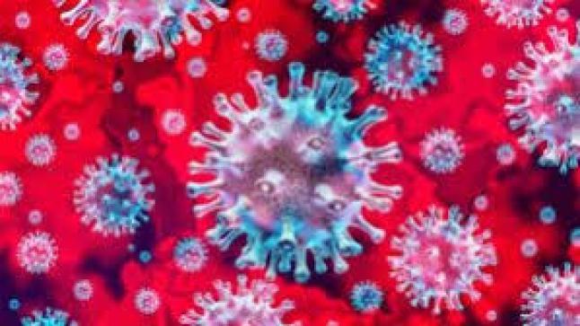 المملكة المغربية تسجيل2251 حالة مؤكدة بفيروس كورونا خلال 24ساعة.