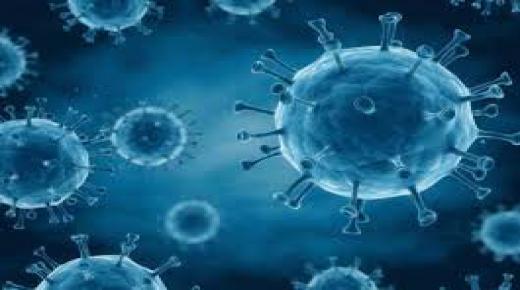 وزارة الصحة….. فى 35 إصابة جديدة بفيروس كورونا في المغرب وارتفاع الحصيلة لـ 437 شخصا