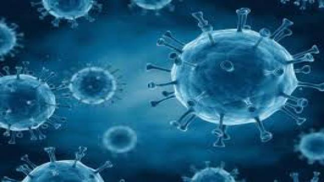 وزارة الصحة….. فى 35 إصابة جديدة بفيروس كورونا في المغرب وارتفاع الحصيلة لـ 437 شخصا