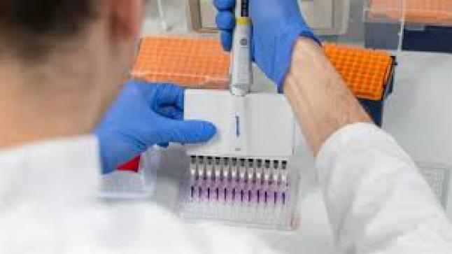 قالت الوكالة الإيطالية: الدواء جاهز للقضاء على فيروس كورونا