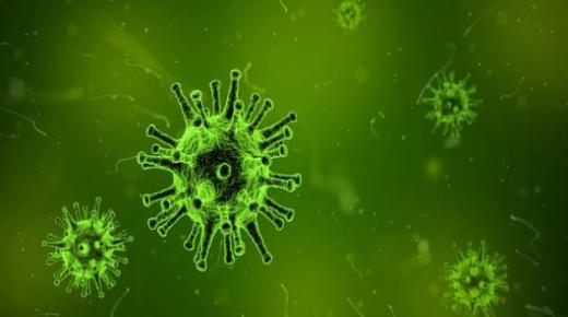 كيفية حماية الجسم من الفيروسات